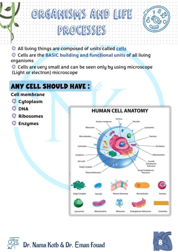 Biology OL Edexcel Notes