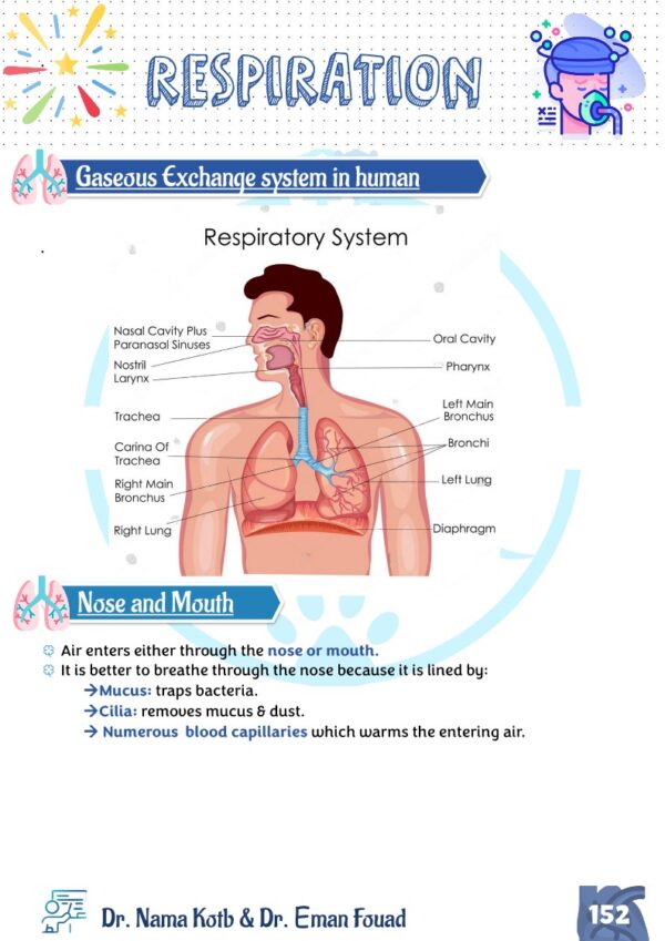 Biology OL Edexcel Notes