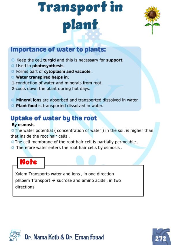 Biology OL Edexcel Notes