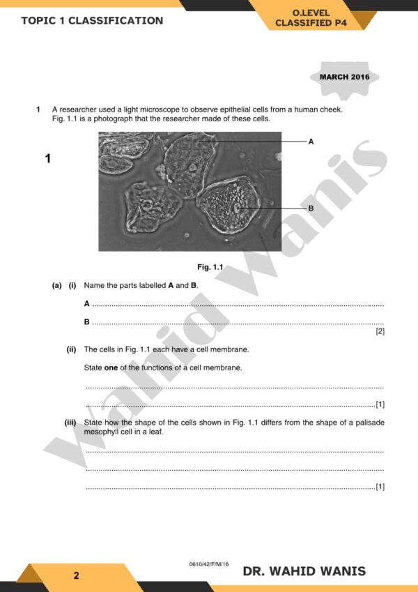 Biology OL Cambridge Classified paper 4