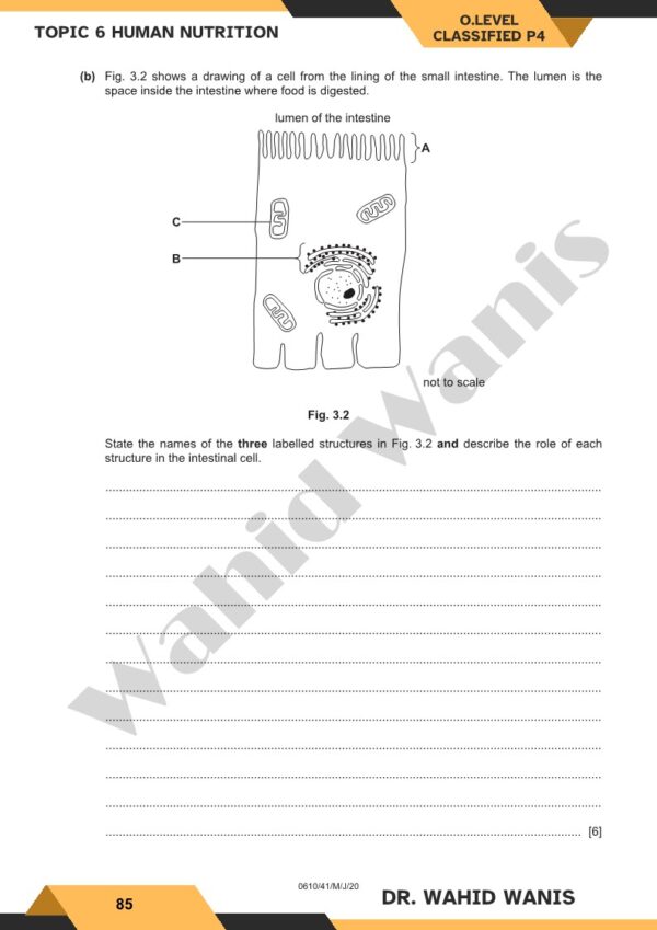 Biology OL Cambridge Classified paper 4