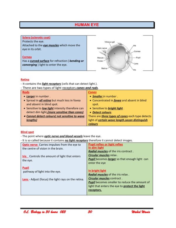 Biology OL Cambridge revision in 30 Hours