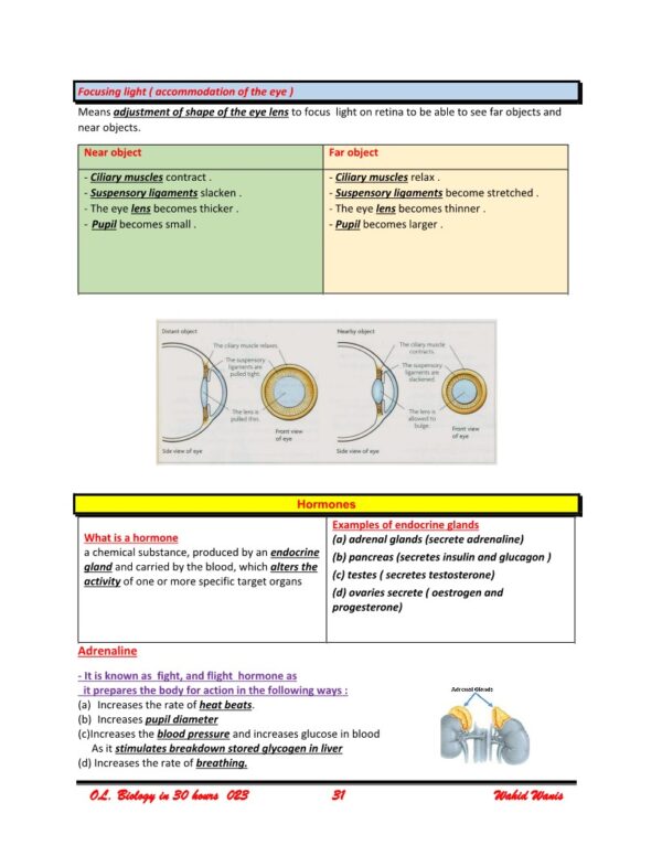 Biology OL Cambridge revision in 30 Hours